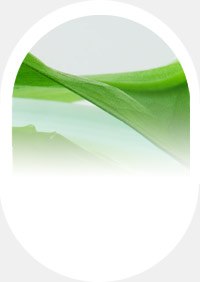 中間體類(lèi)